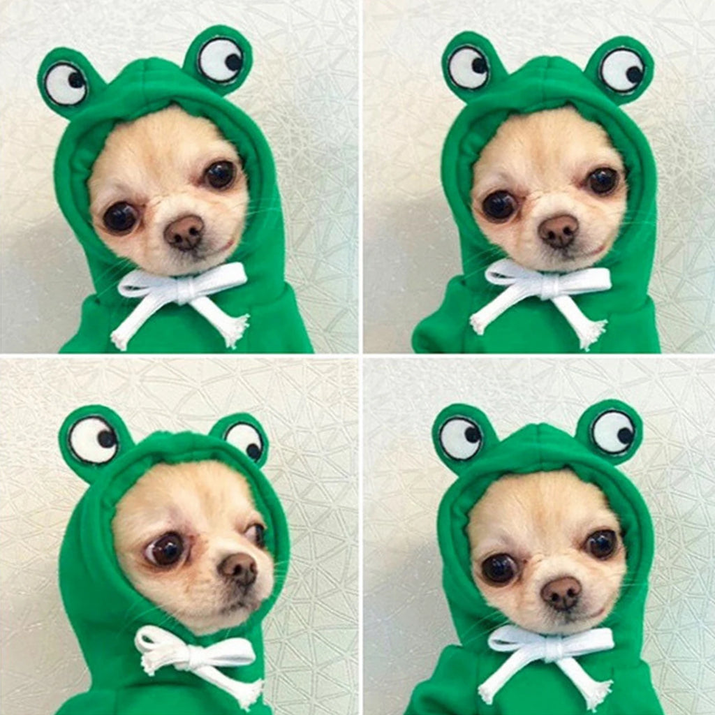 New Dog Hoodie Clothes Cute Design Sweater Coat Carrot  Frog Shape Warm Fleece Outdoor Pet Outfit Outerwear for Dogs Puppy
