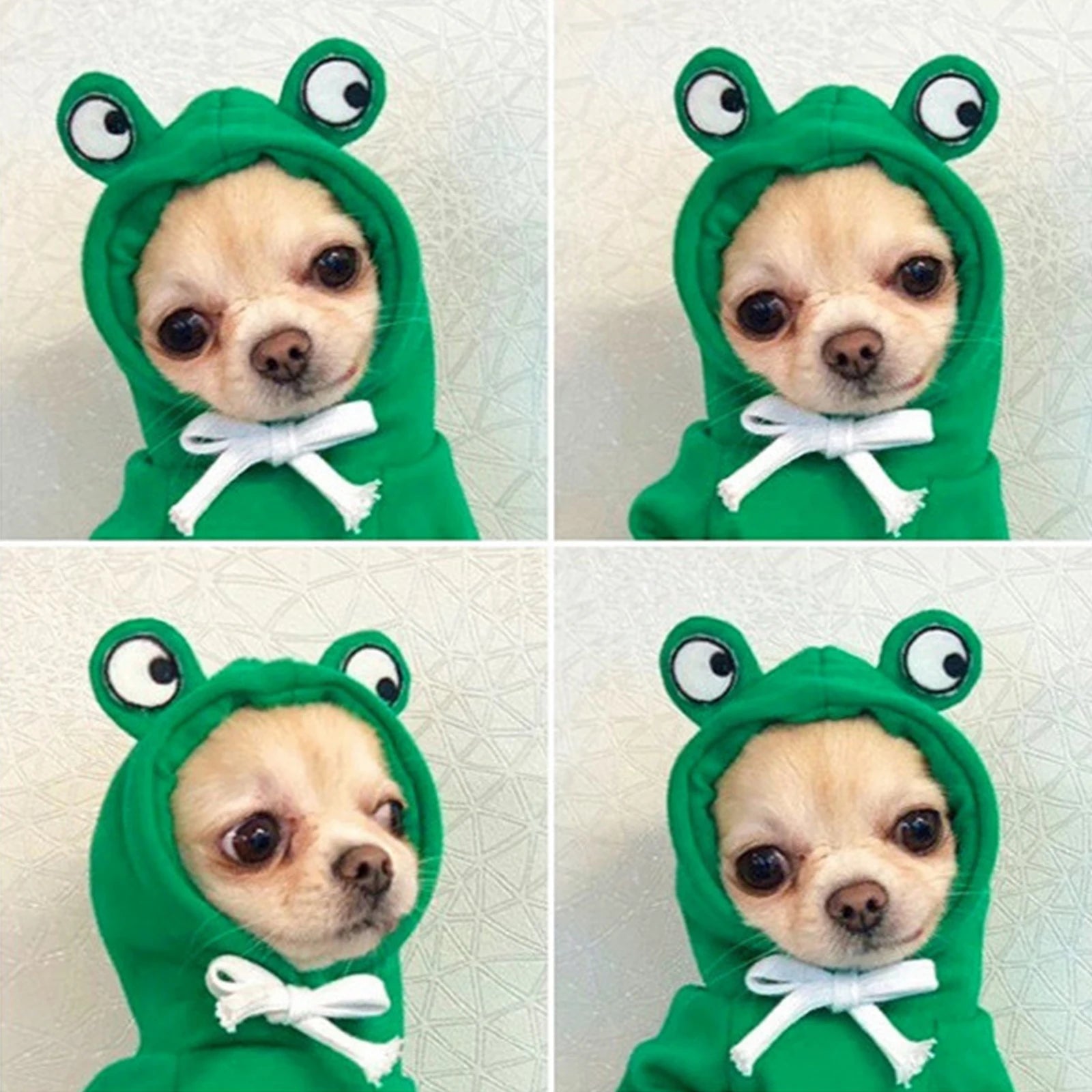 New Dog Hoodie Clothes Cute Design Sweater Coat Carrot  Frog Shape Warm Fleece Outdoor Pet Outfit Outerwear for Dogs Puppy